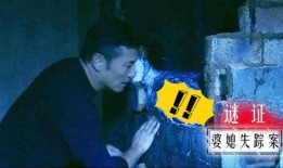 神秘失踪在线观看,揭开失踪之谜的惊悚之旅