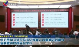 新余新闻爆料,揭秘本地热点事件背后的真相