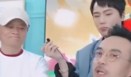 汪涵直播最新爆料,明星幕后故事大公开