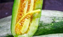 吃网红瓜网站,吃瓜网站带你领略娱乐圈幕后风云