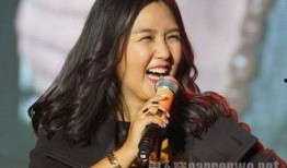 娱乐大爆料何洁是谁,揭秘何洁的星光历程