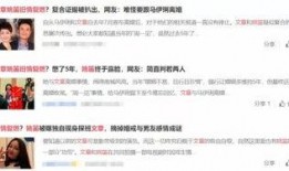 整顿娱乐圈爆料文章怎么写,揭秘幕后真相与影响