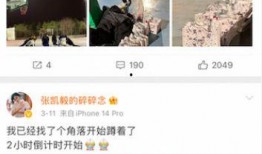 张凯毅爆料前男友视频是真的吗,张凯毅爆料前男友视频真实性揭秘