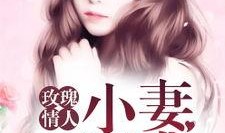 逆袭吃瓜小说后续小说免费阅读,逆袭之路，免费阅读后续篇章