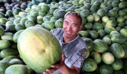 世界同台吃瓜网红素颜,世界同台吃瓜，真实魅力谁与争锋？