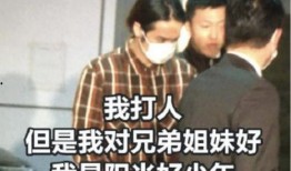 爆料男明星家暴视频大全,多位男星家暴视频曝光，真相令人震惊