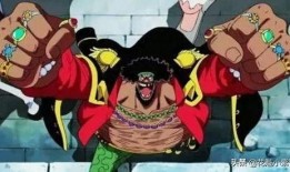 航海王黑胡子爆料视频,航海王世界背后的惊人真相