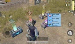 吃鸡最新爆料衣服,潮流服饰助力战场新风尚