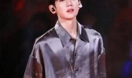 圈内人爆料何炅谢娜,揭秘娱乐圈的黄金搭档