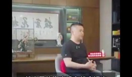 创投大佬爆料事件视频播放,视频播放背后的惊人真相