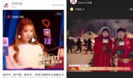 吉林卫视直播在线观看,实时掌握精彩瞬间，尽享视听盛宴