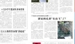 3月份服装爆料新闻稿件,3月服装爆料，潮流新品抢先看