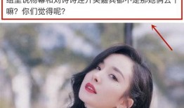 刘诗诗漫画爆料视频