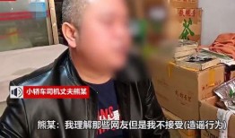 公交车爆料女司机视频,真相与争议并存