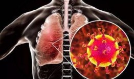 最新爆料肺炎,揭秘病毒变异与防控策略