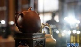 紫砂爆料新闻报道视频下载,揭秘新闻报道视频下载背后的秘密