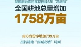 南昌最近爆料新闻事件,真相即将揭晓