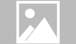 妈妈的取业在线观看,揭秘职场妈妈的奋斗之路