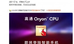 骁龙8至尊版最新爆料,性能巅峰，揭秘未来旗舰手机新标杆