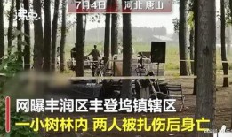唐山案爆料者最新爆料,爆料者揭露惊人内幕，真相逐渐浮出水面