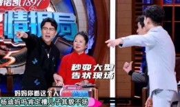 杨迪爆料被踢视频播放下载,揭秘幕后真相