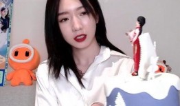 白衬衫全过程爆料视频播放,从面料挑选到成品展示