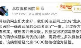 最新爆料肺炎,揭秘病毒变异与防控策略