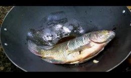 于鱼鱼视频爆料,独家内幕大公开