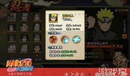 最新爆料忍者,隐秘行动与神秘力量的神秘面纱