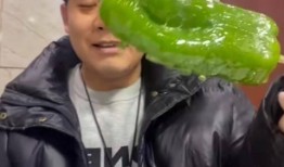 福州网红吃瓜九千仔事件,揭秘网络舆论的风暴与真相