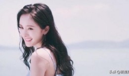 娱乐圈吃瓜白鹿,揭秘明星背后的故事