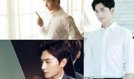 爆料圈内男明星小说男主,揭秘男明星小说男主的神秘魅力