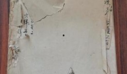 临沂探店爆料视频最新,网红美食地图再升级，独家探店爆料来袭！