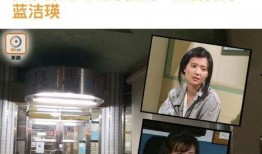 娱乐爆料入口是什么意思,揭秘娱乐圈幕后秘密的神秘通道