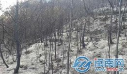 南安烧山最新爆料