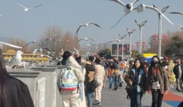 最新昆明爆料新闻,揭秘神秘事件背后的真相