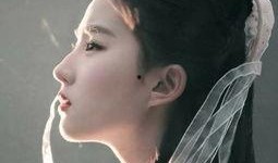 明星八卦爆料刘亦菲视频,明星八卦再掀热议