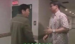 弄假成真在线观看,一场跨越时空的奇幻之旅