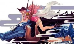 海贼王大妈爆料视频,海贼王世界背后的惊天秘密