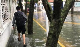 今日盐城中学爆料,揭秘校园风云事件背后的真相