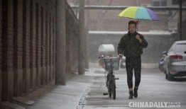 郑州一中爆料事件视频曝光,视频曝光揭示惊人真相