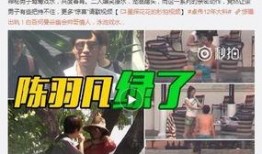 王大锤爆料出轨视频大全,揭秘娱乐圈明星私生活丑闻