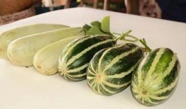 千万网红免费吃瓜,揭秘网络红人幕后狂欢盛宴