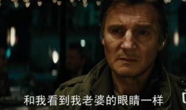 暗夜逐仇在线观看