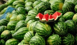 定远网红吃瓜事件始末是什么,一场网络舆论的风暴与反思