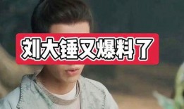 刘大锤爆料岳明辉的视频,惊人真相曝光