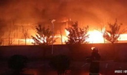 花果园爆料火灾事件视频,视频揭示惊心动魄救援瞬间