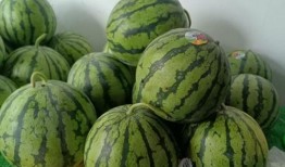 新瓜最新爆料,揭秘娱乐圈最新热点事件内幕