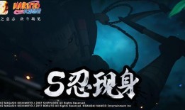 最新爆料忍者,隐秘行动与神秘力量的神秘面纱