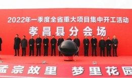 孝昌最新爆料新闻报道,揭秘当地民生热点事件背后的真相